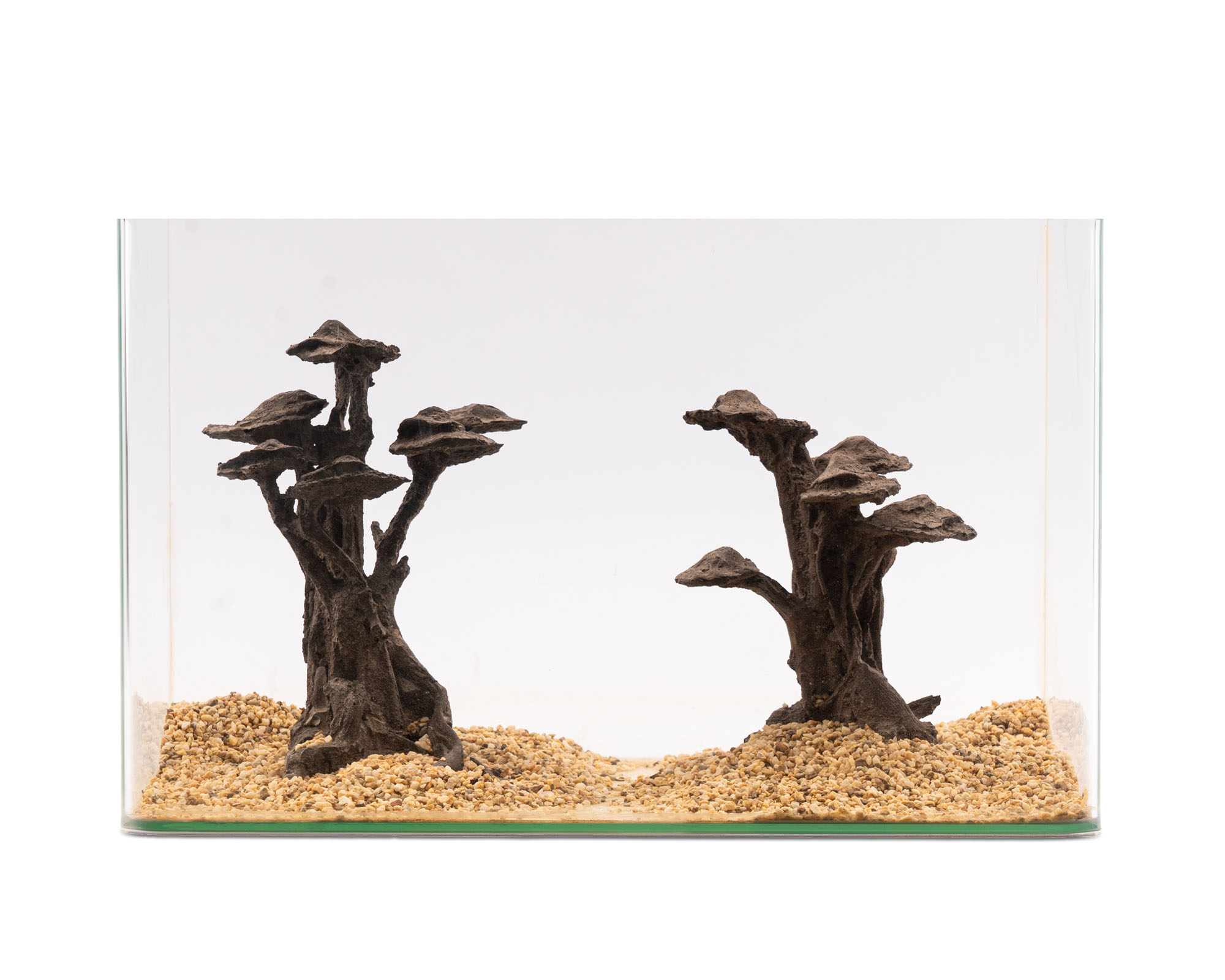 Zwei dekorative Wurzel-Formationen im Aquarium auf Kies